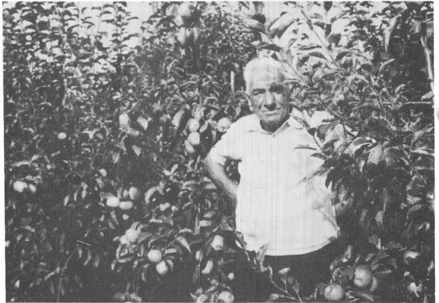 Wilhelm Emmler
