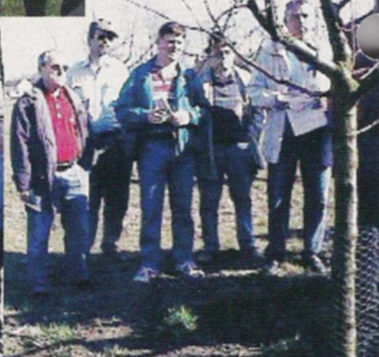 Schnittvorführung