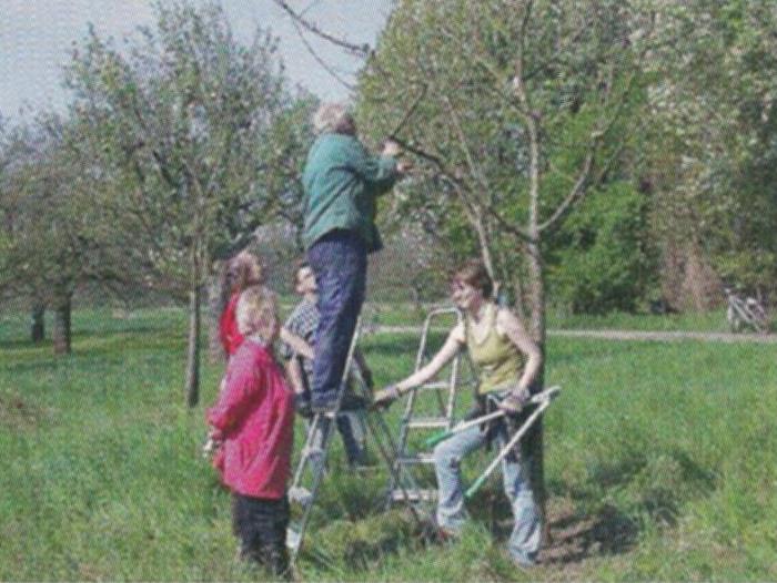 Streuobstwiesen