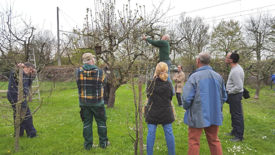 Obstbaumschnittkurs 2016