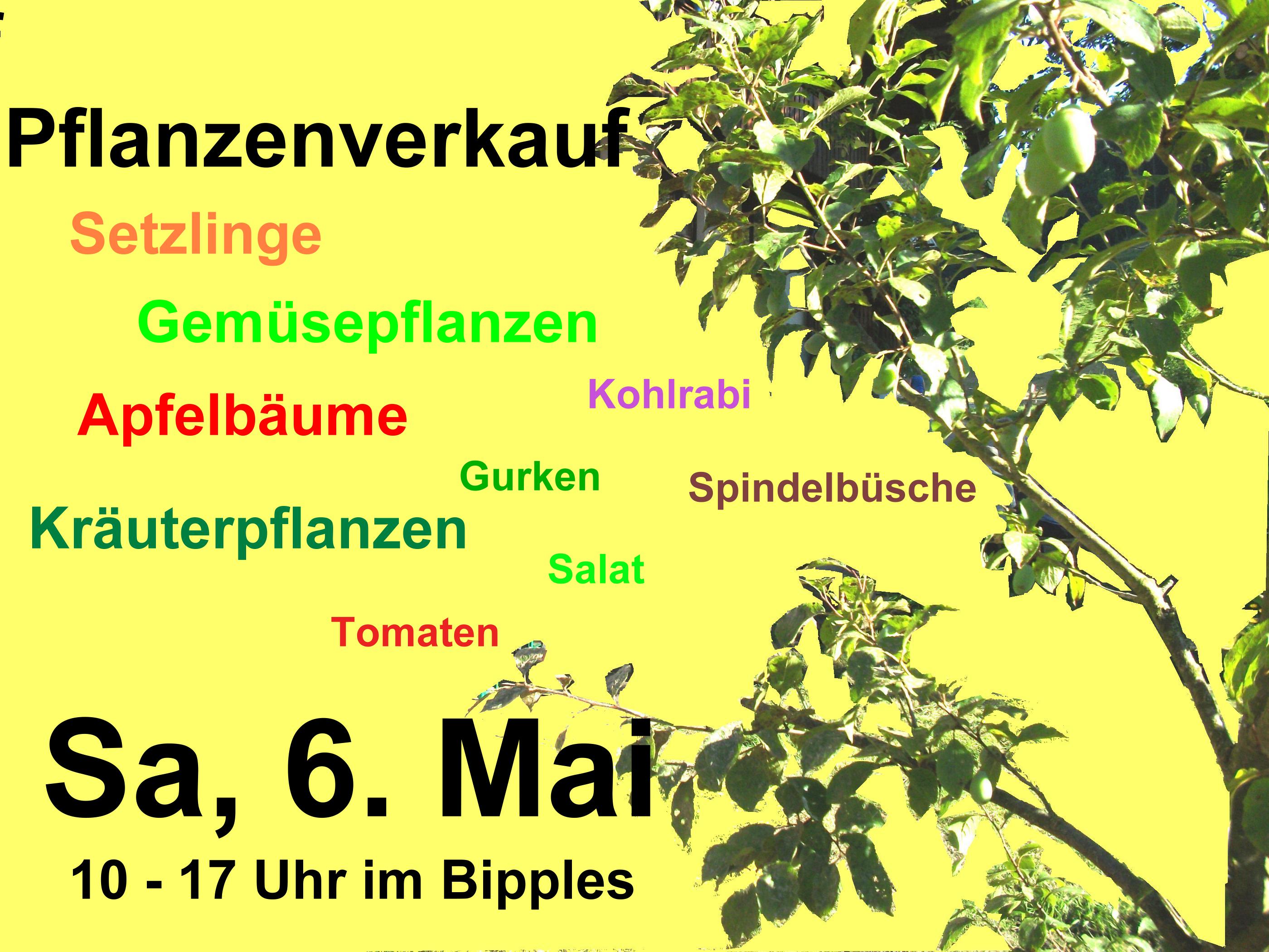 Plakat Setzlingsverkauf