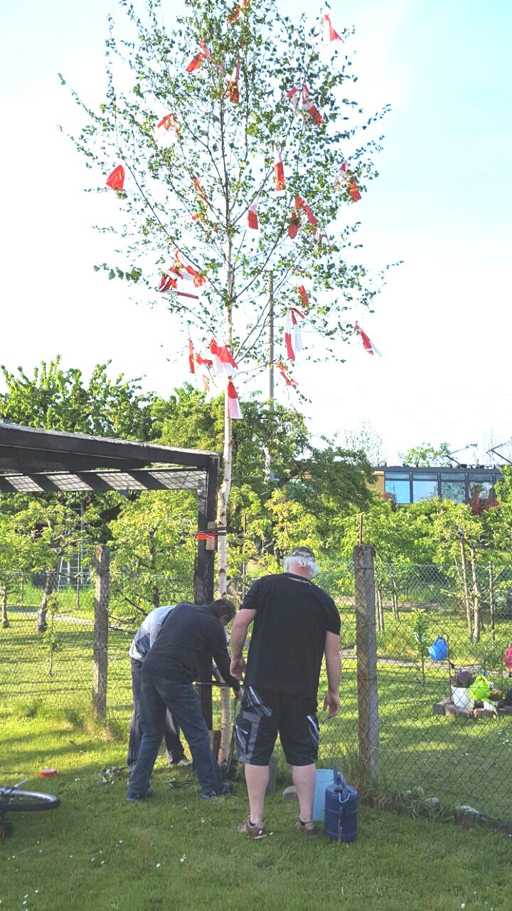 Maibaum-Stellen