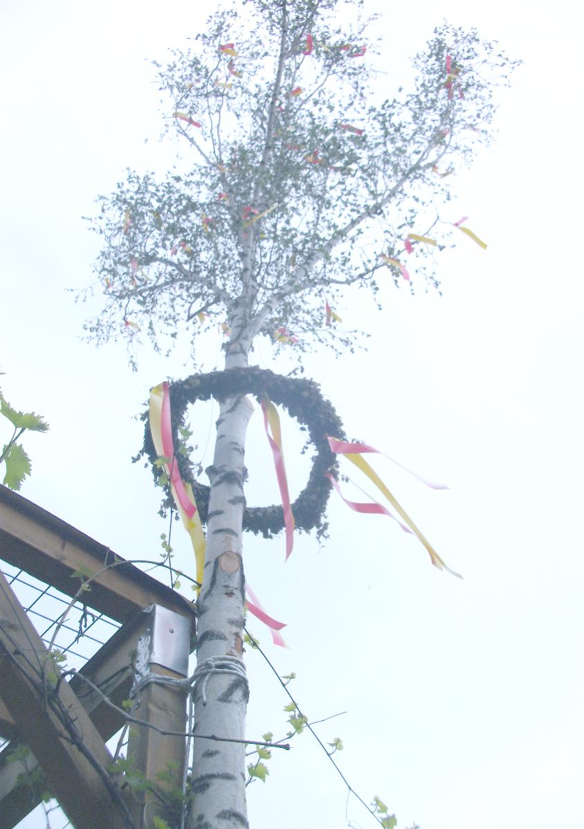 Unser Maibaum 2022