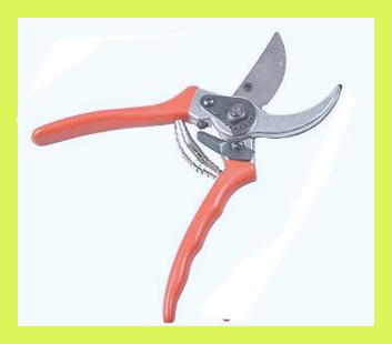 Platzhalter
